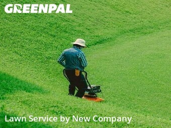 Lawn Mow nearby Los Angeles, CA, 