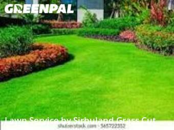 Grass Cutin Grapevine,76051,Lawn Service by Sirbuland Grass Cut, work completed in Dec , 2025