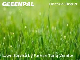 Backyard Landscaping In New York,10038,Landscaping Renovation by Mercury Green, work completed in Dec , 2025