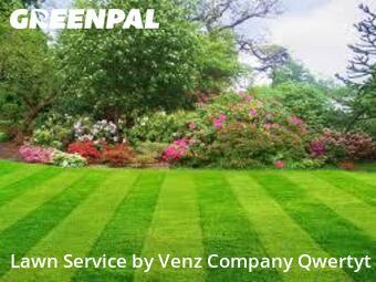Lawn Mow in Sparks, 89434, Lawn Care by Venz Company Qwertyt, work completed in 22 Jul, 2026 