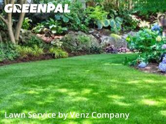 Yard Cutting nearby College Station, NV, 