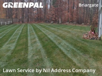 Yard Cutting nearby Colorado Springs, CO, 