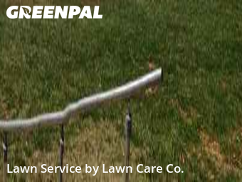 Lawn Cut nearby Dallas, NY, 