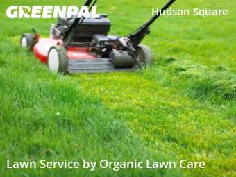 Lawn Mow nearby Manhattan, IL, 