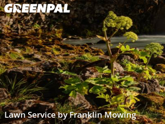 Lawn Cutting nearby Garden City, NY, 