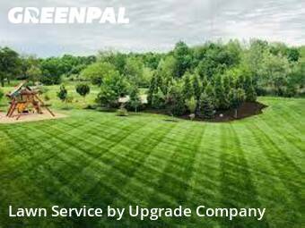 Lawn Cutting nearby Garden City, NY, 