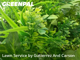 Lawn Mowing Servicein Denver,80221,Lawn Maintenance by Gutierrez And Gut, work completed in Dec , 2025