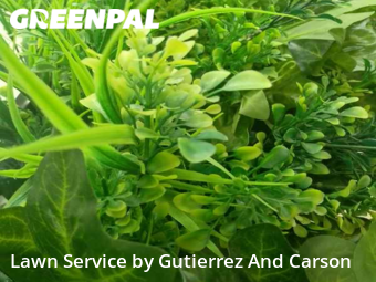 Lawn Cuttingin Denver,80221,Lawn Cut by Gutierrez And Gut, work completed in Dec , 2025