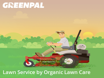 Lawn Service nearby Ravenna, IL, 