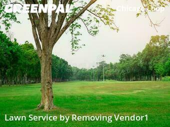 Grass Cuttingin Chicago,60601,Lawn Service by Removing Vendor1, work completed in Dec , 2025