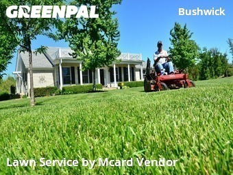 Yard Mowing nearby Brooklyn, NY, 