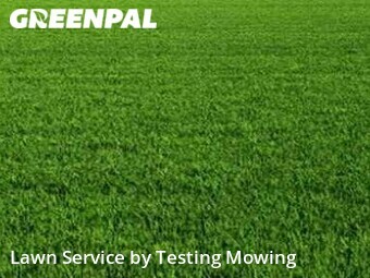 Grass Cut nearby Boston, MA, 